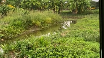 Bán đất mặt tiền đường Ba Chả xã Hưng Long huyện bình Chánh 