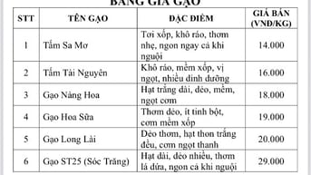 GẠO SẠCH MR MỸ Chuyên cung cấp sỉ & lẻ các loại Gạo - Tấm - Nếp Uy tín