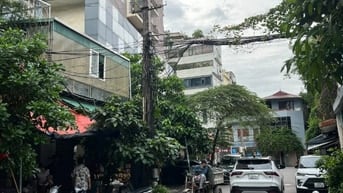  Cho thuê nhà phân lô, ô tô khu 7.2ha Vĩnh Phúc DT80m2 4T giá 25tr