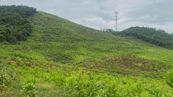 69.000đ/m2 bán đất làm vườn 10hecta Ninh Sơn, Tx Ninh Hoà, Khánh Hoà