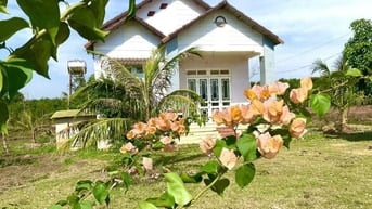 BÁN GẤP VƯỜN 3.800M² GẦN TP. LONG KHÁNH ĐÃ CÓ NHÀ & THỔ CƯ CHỈ 1,9 TR
