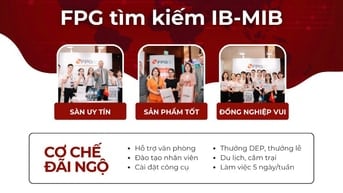 TUYỂN ĐỒNG ĐỘI ĐỐI TÁC IB MIB CÙNG NHAU PHÁT TRIỂN VĂN PHÒNG TẠI HN