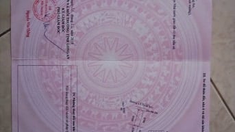 Đất nền vị trí đẹp Cần Đước Long An 