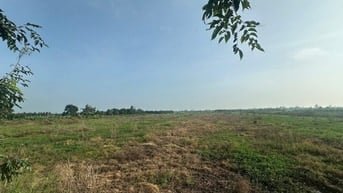 Bán 15 - 32 công đất (xã Láng Biển, Tháp Mười, Đồng Tháp)