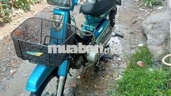 Em drem dọn kiểng cho ae chs