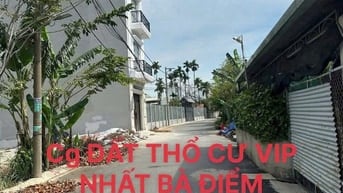 Bán Đất 5X24m Bà Điểm, Hóc Môn