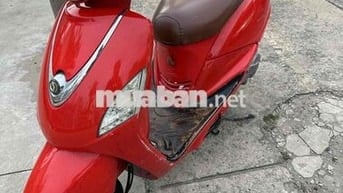 elizabet Fi giấy tờ đầy đủ máy bao ngon