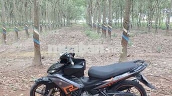 Ex 1s9a ctd zin đầu nồi chưa rớt đúng odo