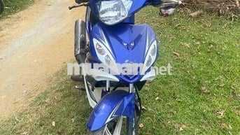 bán xe exito 135