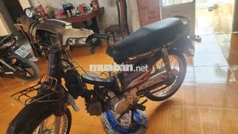XE LONCIN