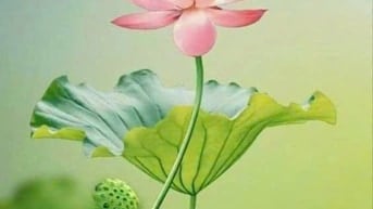 Nhận làm báo cáo thuế, hoàn thuế, quyết toán thuế, DV kế toán trọn gói