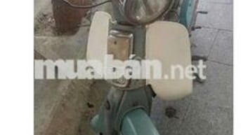 Cub 50cc