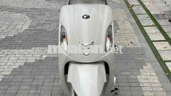 like 50cc không cần bằng lái