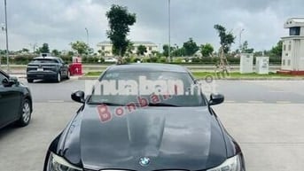 BMW 3 Series 320i 2010