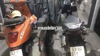 Nhà dư con vespa primavera nên cần đi gấp