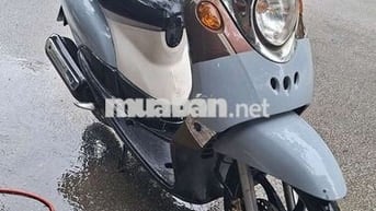 Mio classico giấy tờ đầy đủ