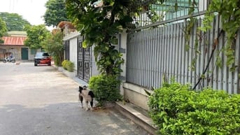 Cho thuê biệt thự liền kề full nội thất tại KĐT mới Trung Văn – Tố Hữu