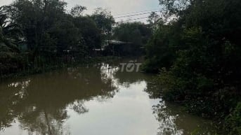 6Công GÓC 2MT ,ĐẤT SẦU RIÊNG MT ĐƯỜNG NHỰA 4tỷ8