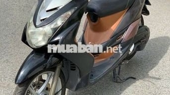 Mio bụng lớn đời 2009, Biển số 60.