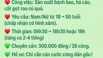 Tuyển công nhân đóng gói thực phẩm KCN Hiệp Phước Nhà Bè