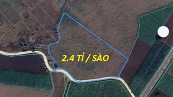 Bán đất 7390 m2 CHÍNH CHỦ - LÁNG DÀI - BÀ RỊA VŨNG TÀU