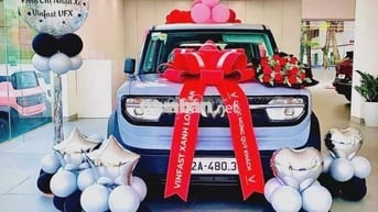 VinFast VF 3 2025