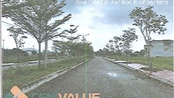 Công ty đấu giá hợp danh Sao Việt 