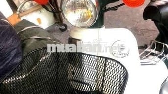 --- Cúp Nhật  81 màu xanh vỏ dưa rất đẹp