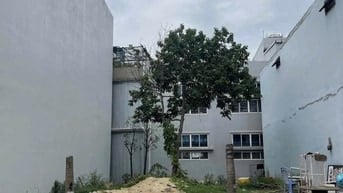 Đất Mặt Tiền đường 7.5m 82.5m2 5x16.5 Vũ Đình Long Sơn Trà Chỉ 6.x Tỷ