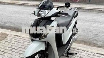 Shvn 125 mẫu ý