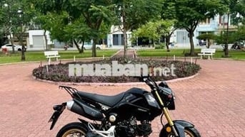 Moto Mini Honda Msx 125cc - Bstp