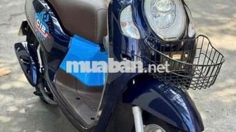 Bán xe scoopy 2024