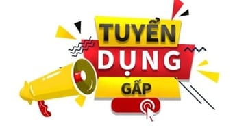 ✅ Cần Ngay 10 CN Đóng Gói Bao Bì Hàng Tiêu Dùng Công Ty