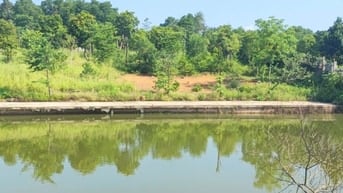Đất view hồ tại Cổ Đông, Sơn Tây, Hà Nội