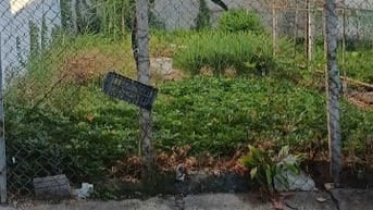 Bán đất Nguyễn Văn Tạo Nhà bè dtich 100m giá 1,9 ty 