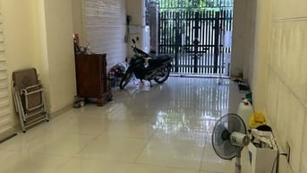 Cho thuê nhà mặt tiền đường nhựa, 413/29A Lê Văn Quới, Bình Trị Đông A
