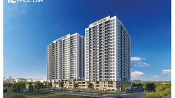 Bán căn hộ đã có sổ hồng CH hoàn chĩnh nhất quận Bình Tân, DT 50m 1 PN