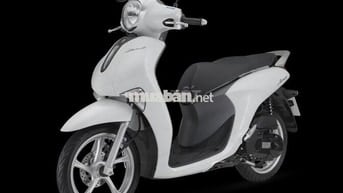 Yamaha Janus 2024 bản tiêu chuẩn mới