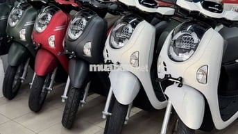 Scoopy 2025 smartkey 39 củ 5 bao tên tphcm