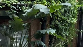 CẦN TUYỂN GẤP VÀI BẠN PHỤ BÁN CÀ PHÊ - ĐỒ UỐNG 