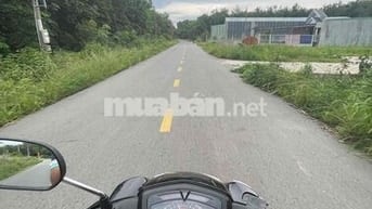Sirius 50cc Espero đã lên 110