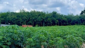 SỞ HỮU ĐẤT XÀO-ĐÓN ĐẦU NGỌN SÓNG TĂNG TRƯỞNG