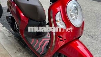bán scoopy 2024. khoá ga.