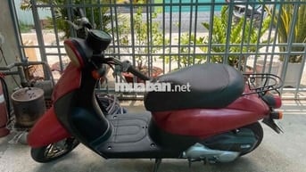 Xe honda today 50cc