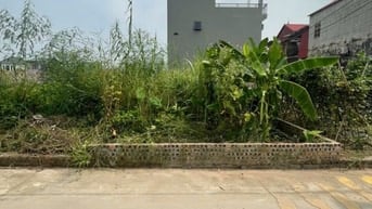 chính chủ cần bán 50m thổ cư tại tổ 9 quang minh sát với kcn và kdt