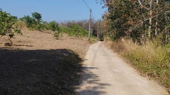 Cần Tiền làm ăn chính chủ  Bán gấp 1ha điều Thôn 3 , Đức Liễu bù đăng