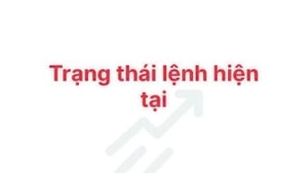 bot trade gold siêu lợi nhuận lịch sử cực lâu