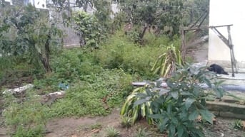 Bán đất nông nghiệp đường Huyền Trân Công Chúa thành phố Đà Lạt 