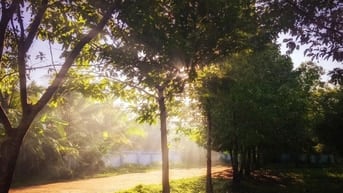 VỀ VƯỜN NGHỈ DƯỠNG VIEW SUỐI CỰC ĐẸP GẦN HỒ TRỊ AN CHỈ 850TR TRỌN SỔ