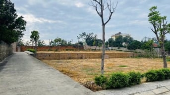 5 lý do nên mua đất tại Phường Mạo Khê (Quảng Ninh) – xem là muốn mua!